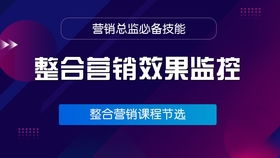 營(yíng)銷(xiāo)總監(jiān)必備 常見(jiàn)推廣渠道的深度優(yōu)化策略與技術(shù)賦能