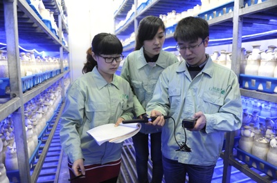 產(chǎn)業(yè)服務(wù)與技術(shù)推廣服務(wù) 驅(qū)動(dòng)經(jīng)濟(jì)高質(zhì)量發(fā)展的雙引擎