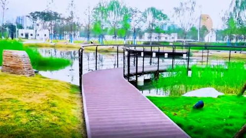 游覽武漢城區一座魚主題公園 面積超10個球場,地下還有巨型工廠