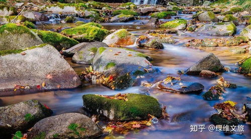 新時代,景區發展創新方向在哪里