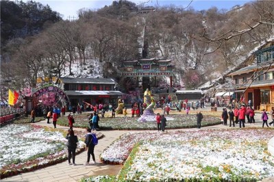 欒川縣踏青賞花游持續火爆 清明假期共計接待游客15.8萬人次