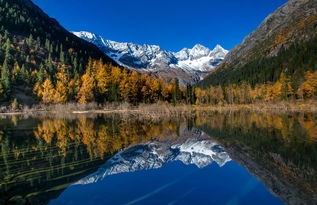 達(dá)古冰山景區(qū)深度開(kāi)發(fā)洛格斯徒步游覽區(qū)