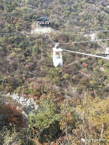 網(wǎng)紅招募令 平頂山交通廣播邀您免費(fèi)游覽河南天龍池景區(qū)